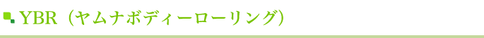 YBR�i�����i�{�f�B�[���[�����O�j